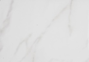 (1810) White Carrara marble - DFS2